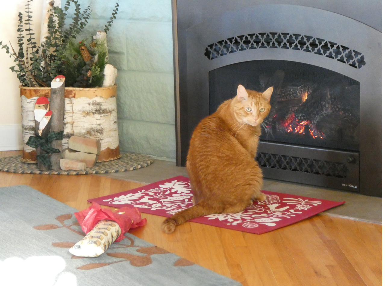Nugget guarding the wood-burning stove