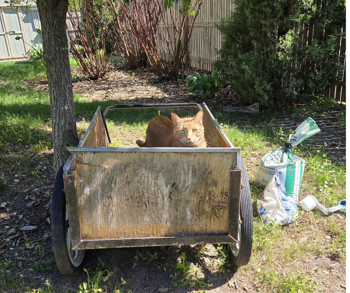 Nugget conducting a wagon inspection